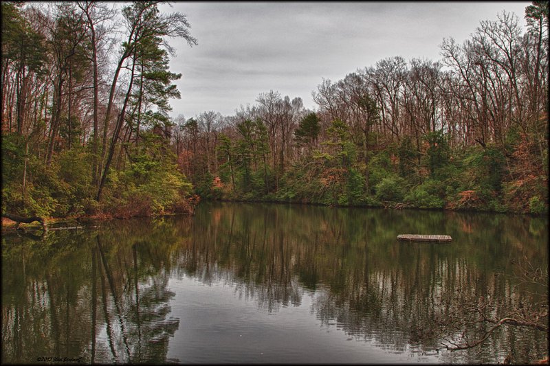 pond in henrico.jpg